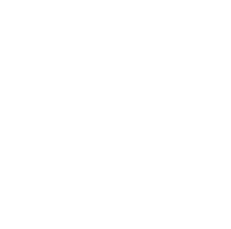 FZ Seguros